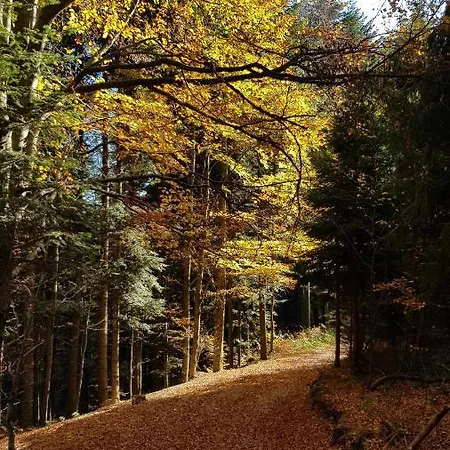 Podbucznik 3 Leskowiec シャレー