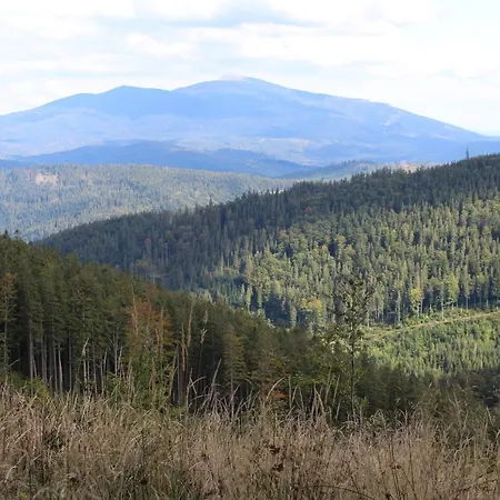 Podbucznik 3 Leskowiec *