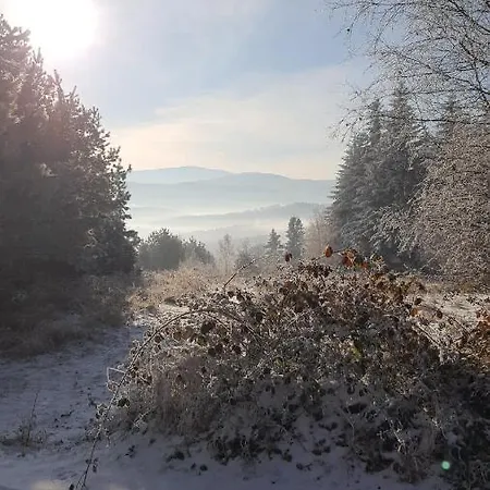 シャレー Podbucznik 3 Leskowiec